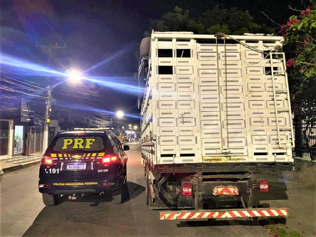 Carreta boiadeiro roubado  recuperado pela PRF na BR 101