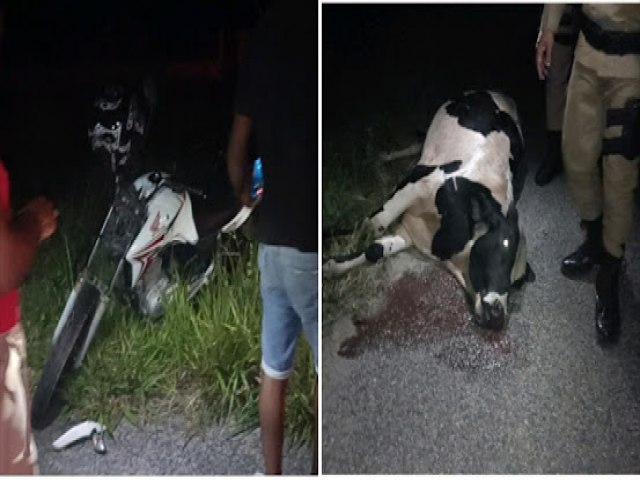 Jacobina: Motociclista fica gravemente ferido em coliso com animal na BR-324 prximo ao distrito de Novo Paraso