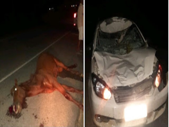 Animal solto na pista provoca acidente na BR 324, prximo ao Junco, distrito de Jacobina