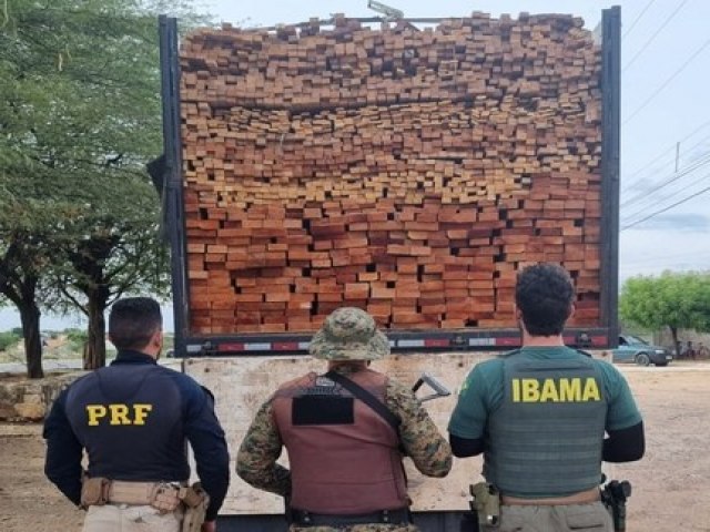 Flagrantes de crime ambiental: Ações da 48ª FPI resultam em apreensões de cargas de madeira transportadas ilegalmente