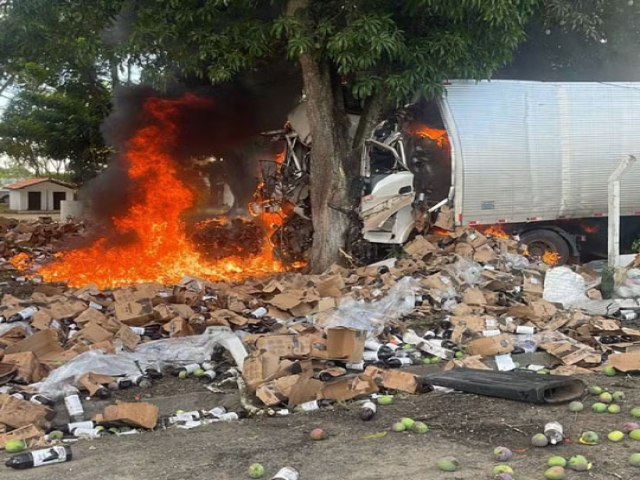 Caminho bate em rvore e pega fogo em acidente que deixou dois mortos em rodovia na Bahia