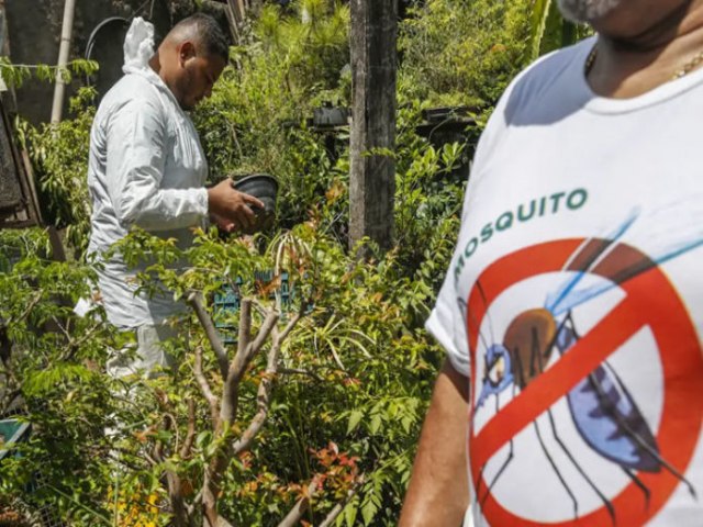 Brasil registra mais de 2 milhes de casos de dengue e mais de 600 bitos confirmados at agora