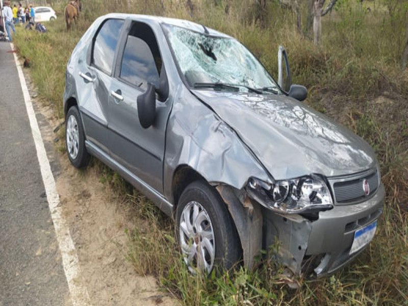 Cavalo morre e dois homens ficam feridos em acidente na BA-400, em Lamaro