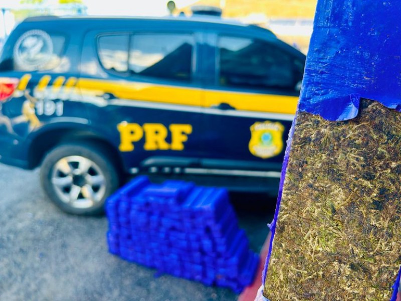 PRF apreende 130 kg de maconha em veculo roubado e detm suspeito em Jequi (BA)