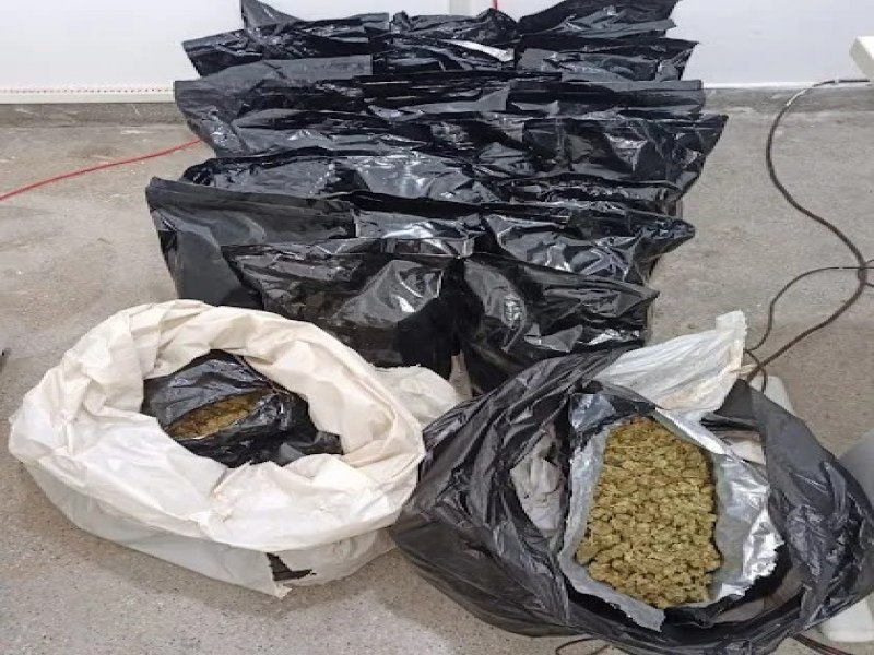 PMBA APREENDE 17 KG DE MACONHA EM JACOBINA