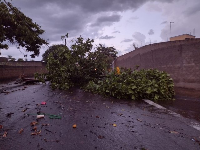 Temporal acompanhado de vento forte causa transtornos em Caxias do