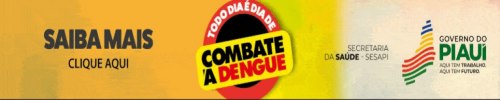 Dengue 2024 01