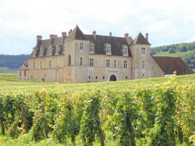 Vinhos produzidos no Vale serão destaque em encontro na França