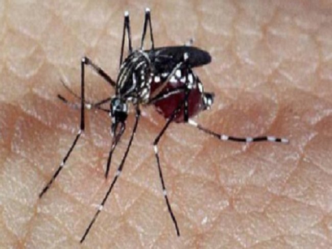 Especialistas dos EUA que investigam zika no Brasil criticam laboratórios do País