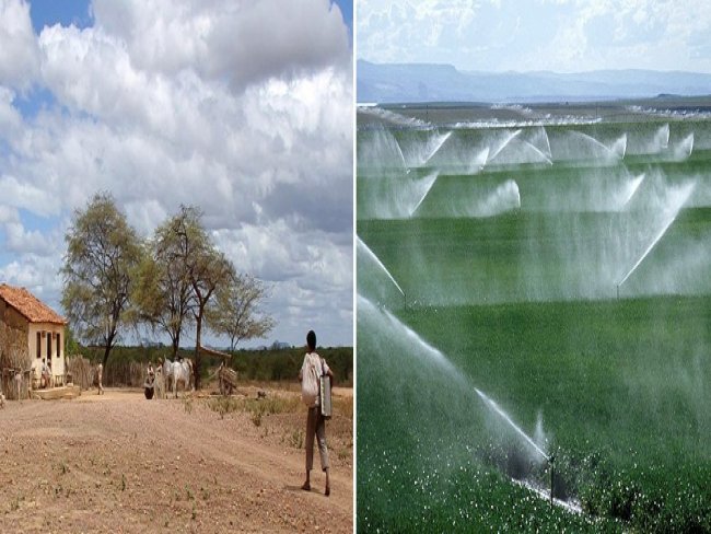 Projeto de Irrigação de Bebedouro gera quase 100 milhões de renda bruta no ultimo ano