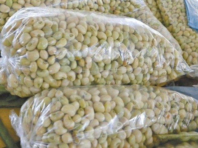 Confira preço do feijão verde nesta quinta-feira (25) no Mercado do Produtor de Juazeiro (BA)