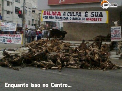 Seca: produtor expõe cadáveres de gado na rua em protesto na Paraíba