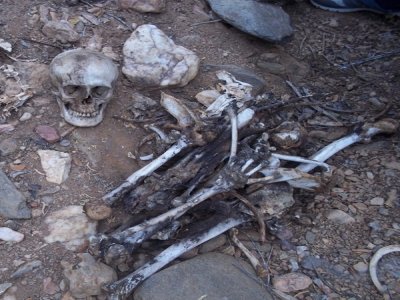Cadáver  encontrado às margens da BR-116, cerca de 6 Km da cidade de Salgueiro