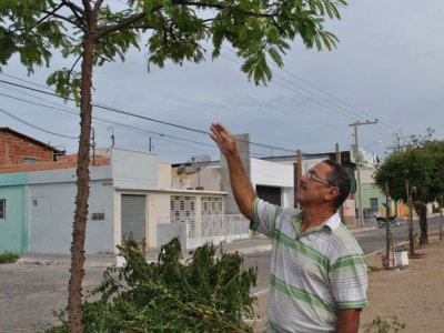 Belemita  planta mais de 150 árvores e muda paisagem de avenida na cidade de Petrolina