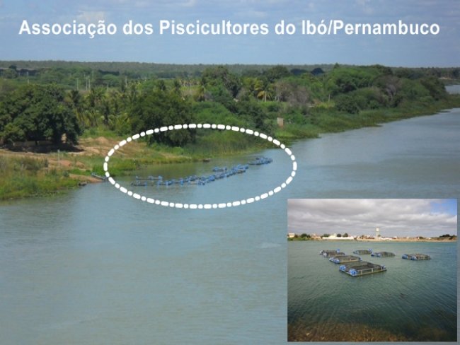 Piscicultores do Ibó Pernambuco recebem amanhã a visita de João Bosco superintendente da 3ª SR Codevasf