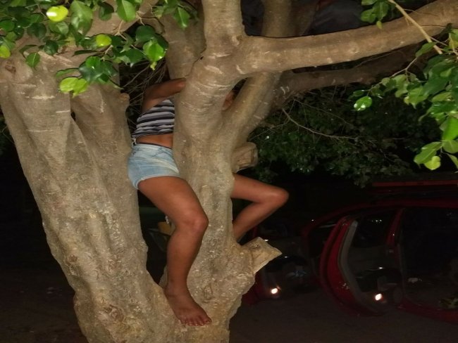 Mulher sobe em árvore para pular muro de ex-companheiro e fica presa entre os galhos