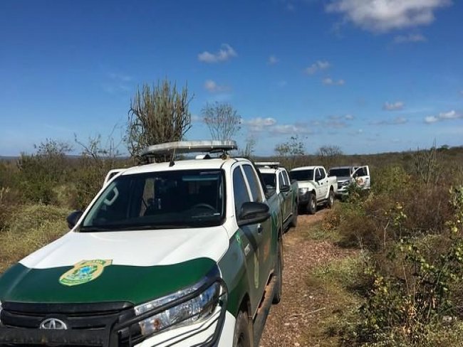 FPI/PE flagra desmatamento ilegal em Floresta; Polícia lavrou TCO por crime ambiental em desfavor do responsável