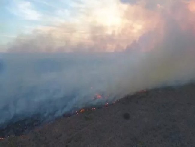 Incndio: Com esforo fogo  controlado, mas equipes continuam alerta em Floresta, PE