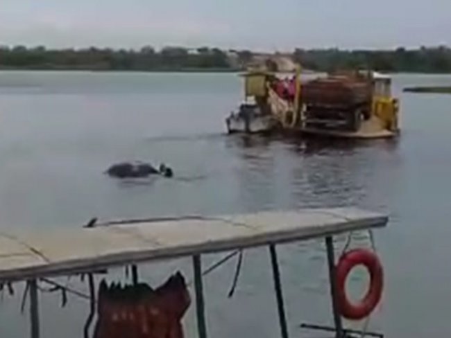 Carro cai de balsa com criana de dois anos no Rio So Francisco; Veja vdeo