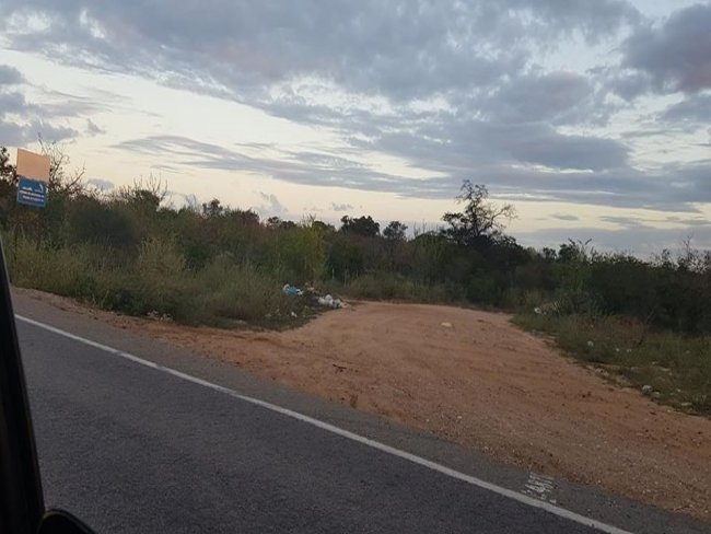  Leitora flagra lixo na BR entre Floresta e Petrolndia e cobra ateno das Autoridades