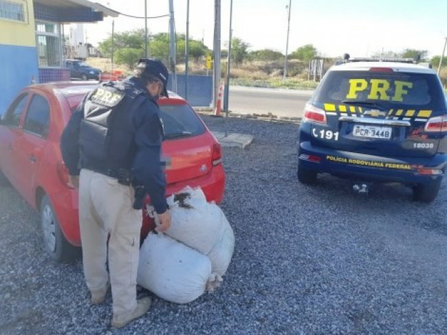 Homens so presos com 40 kg de maconha na BR-232, em Serra Talhada