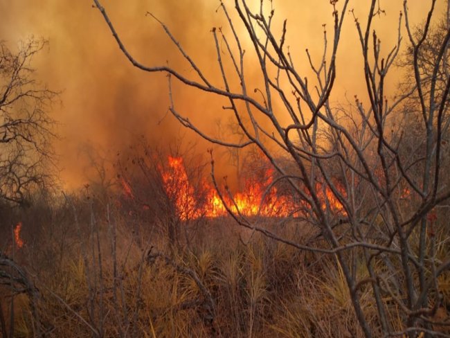 Incendio atinge Zona Rural de Floresta na noite desta Sexta Feira dia 04 de Setembro de 2020