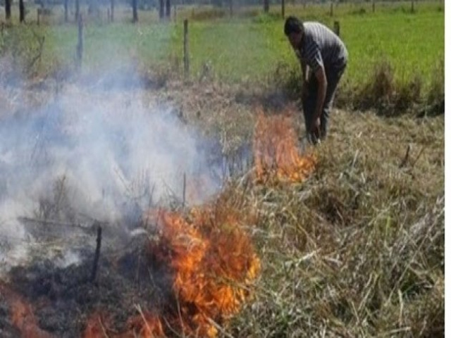 Homem  preso aps ser flagrado colocando fogo em mata s margens da BR-232 em Serra Talhada