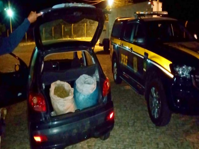 Homem  preso transportando 20 kg de maconha na BR 428, em Cabrob