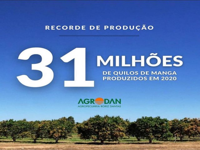 AGRODAN BATE RECORDE E SUPERA 31 MILHES DE QUILOS DE MANGA PRODUZIDOS EM 2020