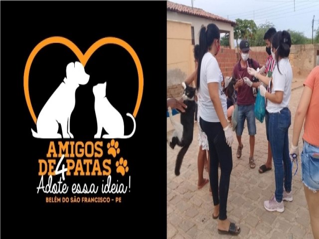 Grupo de amigos se junta em defesa dos animais de ruas da cidade de Belm do So Francisco
