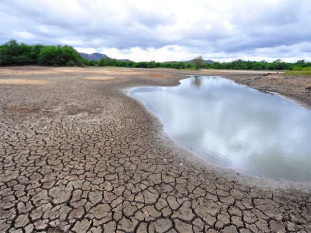 Governo de Pernambuco decreta situao de emergncia em 54 municpios do Serto por causa da estiagem