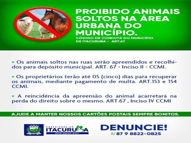 A Prefeitura de Itacuruba inicia uma campanha visando evitar a circulao de animais de grande porte pelas vias pblicas da cidade. 