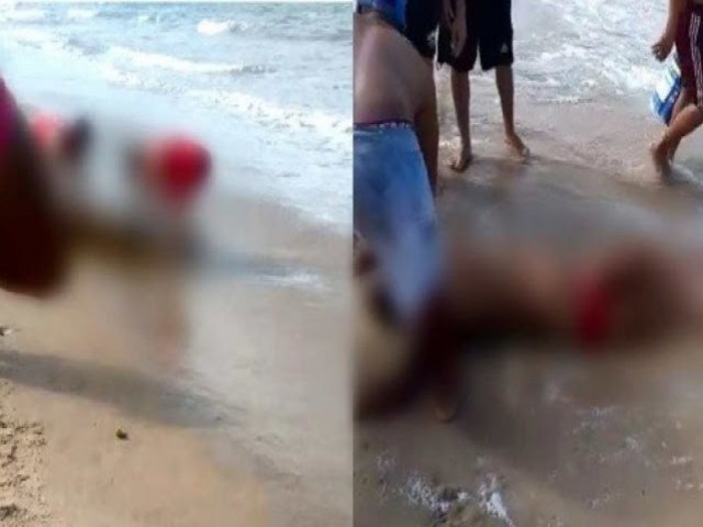 Ataque de tubaro em Pernambuco: Vtima entrou no mar apenas para retirar areia do corpo, diz bombeiros