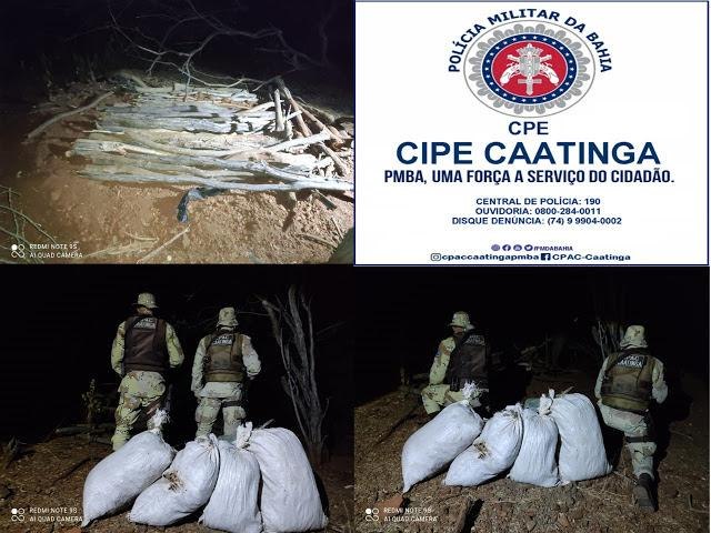 Cipe Caatinga descobre 50 kg de maconha enterrados em quintal em Juazeiro-BA