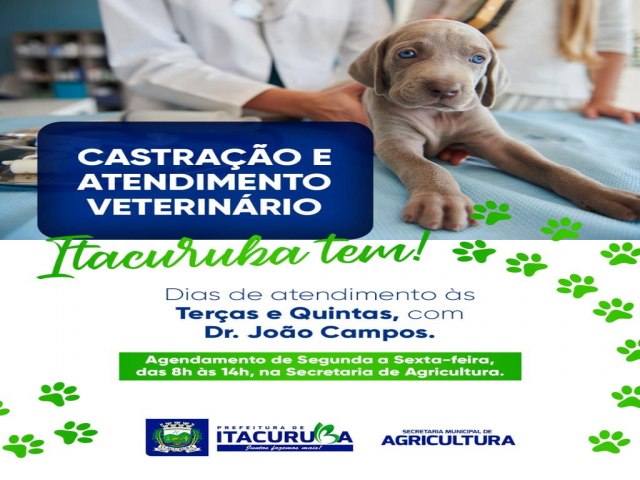 Quem procura atendimento veterinário para o seu animal agora conta com esse serviço oferecido pela Prefeitura de Itacuruba, através da Secretaria de Agricultura. O atendimento acontece duas vezes por semana.