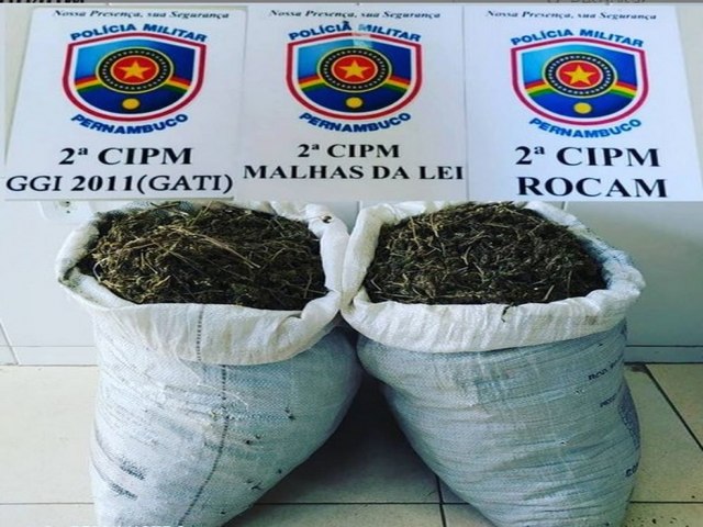 Polícia apreende quase 21 kg de maconha em ilha na zona rural de Cabrobó, PE