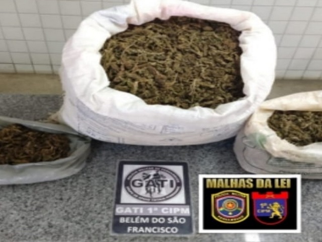 Policiais da 1ª CIPM apreendem mais de 9kg de maconha na Zona Rural de Belém do São Francisco
