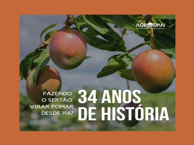 A Agrodan Maior produtora e exportadora de mangas do Brasil completa 34 anos