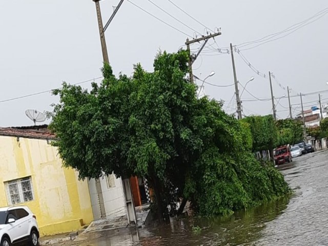 Chuva de granizo deixa rastro de destruição em Carnaíba, no Pajeú