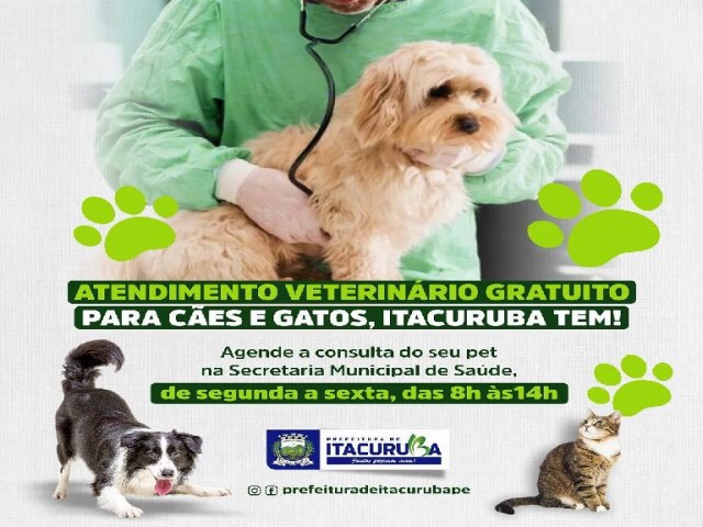 A  Prefeitura de Itacuruba disponibiliza mais um serviço de atendimento clínico veterinário