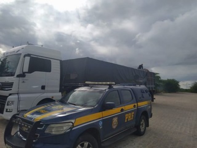 Caminhões com 80 m³ de madeira irregular são retidos pela PRF em Sertânia