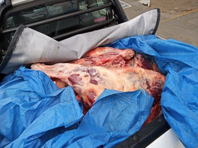 Polcia apreende cerca de 600 kg de carne de jumento e cavalo no Agreste de Pernambuco