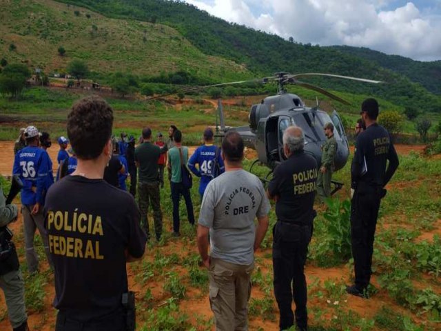 Em 10 dias, Polcia Federal erradica cerca de 531 mil ps de maconha no Serto de Pernambuco