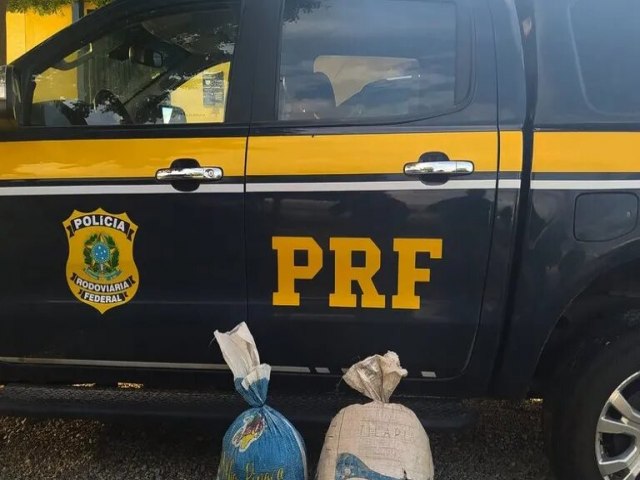 PRF prende motorista com 13kg de maconha em Salgueiro (PE)
