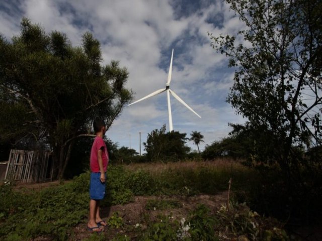 Entenda por que os parques de energia eólica estão piorando a vida das famílias de agricultores no Agreste de Pernambuco