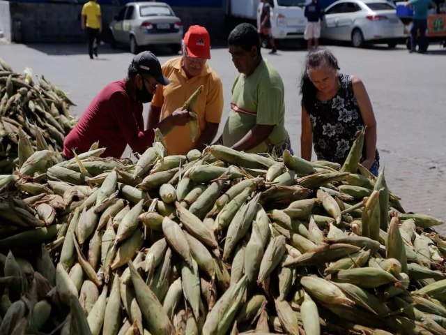 Preço do milho aumenta às vésperas de São João