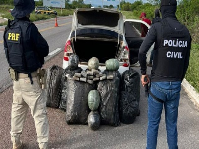 Policiais rodovirios e civis apreendem 102 kg de maconha no Serto de Pernambuco