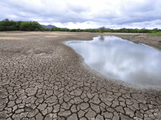 Prefeitura de Salgueiro decreta situao de emergncia por conta de estiagem