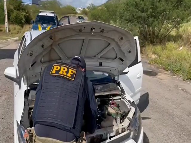 Serra Talhada: homem troca cavalo de R$ 50 mil em carro clonado e  detido pela PRF 