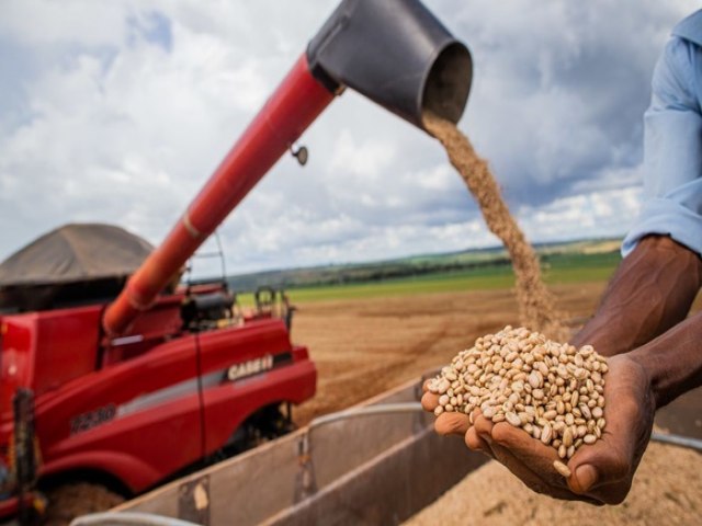 Aumento da temperatura vai afetar a produo de feijo no Brasil. Bahia pode ser um dos estados mais prejudicados